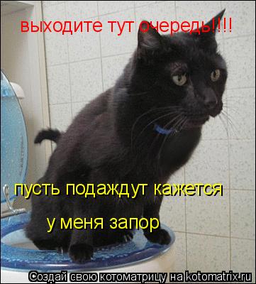выходите тут очередь!!!! пусть подаждут кажется у меня запор... Котоматрица: выходите тут очередь!!!! пусть подаждут кажется у меня запор