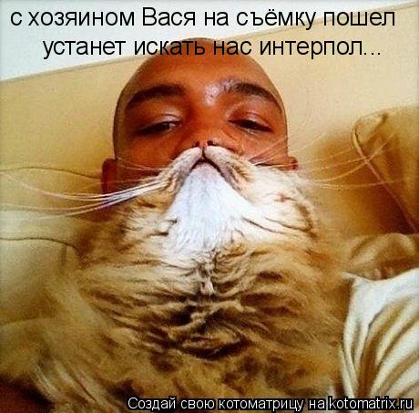 с хозяином Вася на съёмку пошел устанет искать нас интерпол...... Котоматрица: с хозяином Вася на съёмку пошел устанет искать нас интерпол...