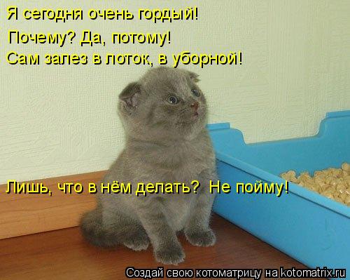 Я сегодня очень гордый! Почему? Да, потому! Сам залез в лоток, в уборной! Лишь, что в нём делат... Котоматрица: Я сегодня очень гордый! Почему? Да, потому! Сам залез в лоток, в уборной! Лишь, что в нём делать? Не пойму!