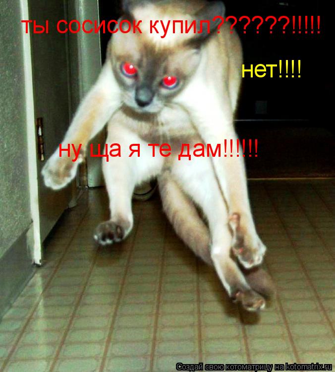 ты сосисок купил??????!!!!! нет!!!! ну ща я те дам!!!!!!... Котоматрица: ты сосисок купил??????!!!!! нет!!!! ну ща я те дам!!!!!!
