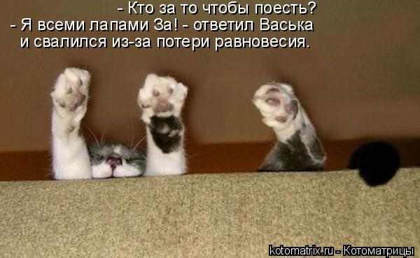 - Кто за то чтобы поесть? - Я всеми лапами За! - ответил Васька и свалился из-за потери равновесия.... Котоматрица: - Кто за то чтобы поесть? - Я всеми лапами За! - ответил Васька и свалился из-за потери равновесия.