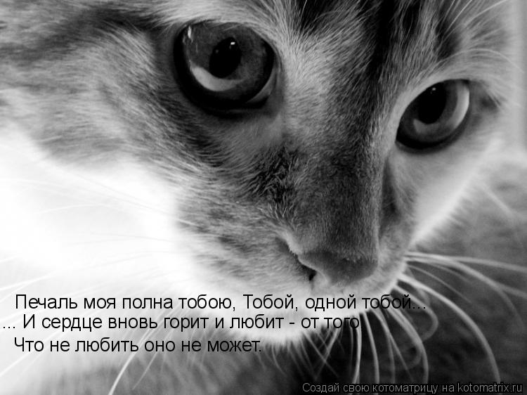 Печаль моя полна тобою, Тобой, одной тобой... Что не любить оно не может. ... И сердце вновь горит ... Котоматрица: Печаль моя полна тобою, Тобой, одной тобой... Что не любить оно не может. ... И сердце вновь горит и любит - от того,