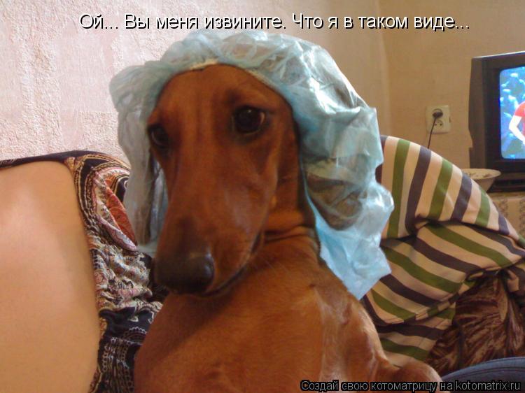 Ой... Вы меня извините. Что я в таком виде...... Котоматрица: Ой... Вы меня извините. Что я в таком виде...
