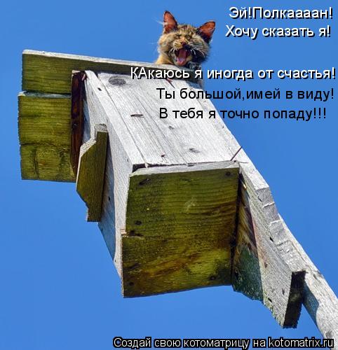 Эй!Полкаааан! Хочу сказать я! КАкаюсь я иногда от счастья! Ты большой,имей в виду! В тебя я точно поп... Котоматрица: Эй!Полкаааан! Хочу сказать я! КАкаюсь я иногда от счастья! Ты большой,имей в виду! В тебя я точно попаду!!!