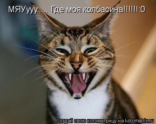 МЯУууу..... Где моя колбасина!!!!!!:0... Котоматрица: МЯУууу..... Где моя колбасина!!!!!!:0