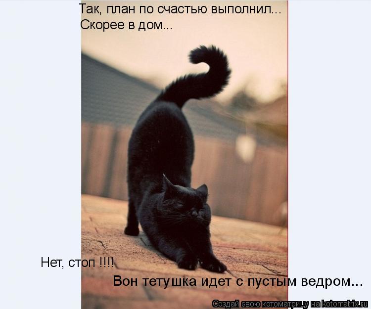 Так, план по счастью выполнил... Скорее в дом... Нет, стоп !!!! Вон тетушка идет с пустым ведром...... Котоматрица: Так, план по счастью выполнил... Скорее в дом... Нет, стоп !!!! Вон тетушка идет с пустым ведром...