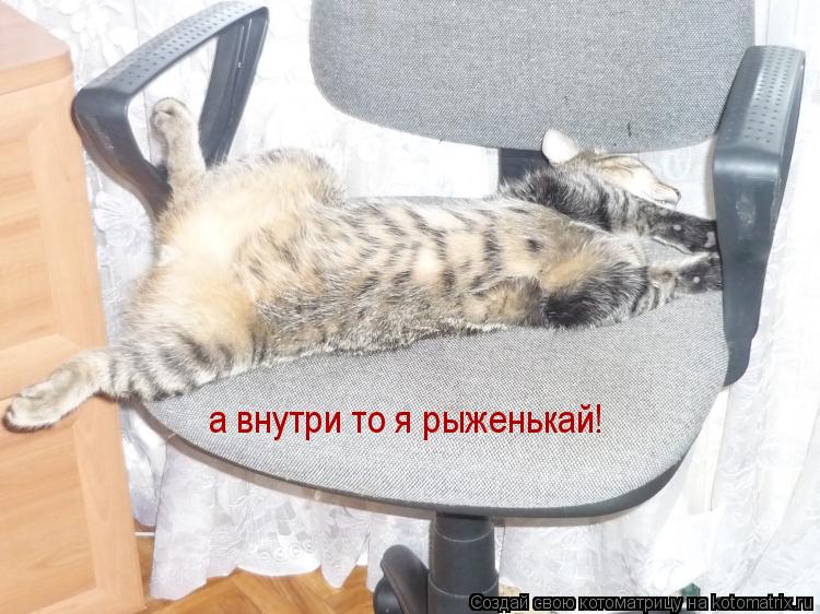 а внутри то я рыженькай!... Котоматрица: а внутри то я рыженькай!