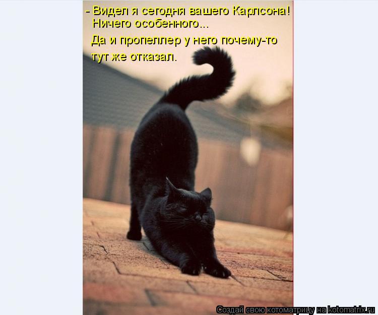 - Видел я сегодня вашего Карлсона! Ничего особенного... Да и пропеллер у него почему-то тут же отказ... Котоматрица: - Видел я сегодня вашего Карлсона! Ничего особенного... Да и пропеллер у него почему-то тут же отказал.