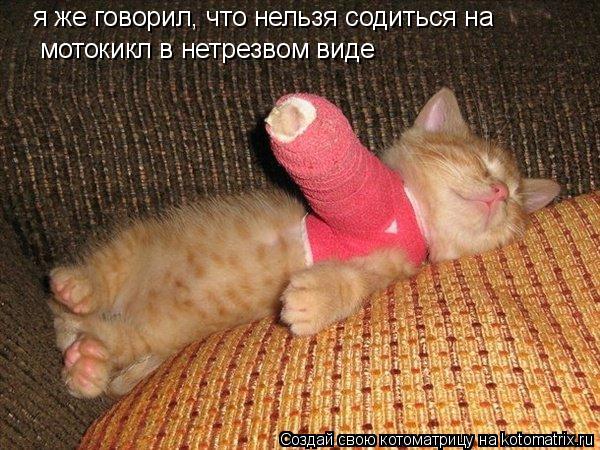 я же говорил, что нельзя содиться на мотокикл в нетрезвом виде... Котоматрица: я же говорил, что нельзя содиться на мотокикл в нетрезвом виде