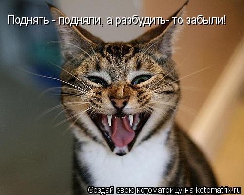 Поднять - подняли, а разбудить- то забыли!... Котоматрица: Поднять - подняли, а разбудить- то забыли!