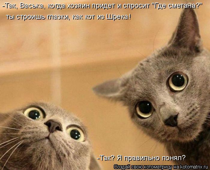 -Так, Васька, когда хозяин придет и спросит "Где сметана?" ты строишь глазки, как кот из Шрека! -Так?... Котоматрица: -Так, Васька, когда хозяин придет и спросит "Где сметана?" ты строишь глазки, как кот из Шрека! -Так? Я правильно понял?
