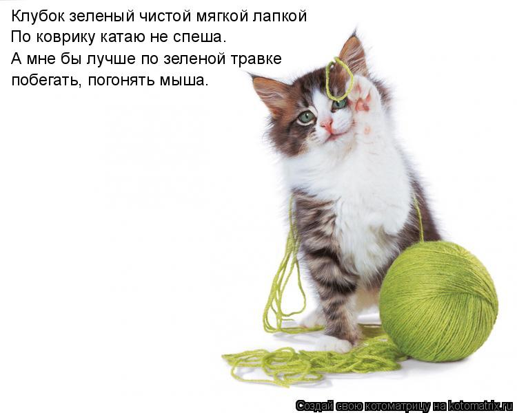 Клубок зеленый чистой мягкой лапкой По коврику катаю не спеша. А мне бы лучше по зеленой травке побег... Котоматрица: Клубок зеленый чистой мягкой лапкой По коврику катаю не спеша. А мне бы лучше по зеленой травке побегать, погонять мыша.