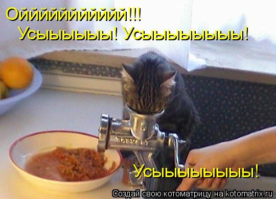 Оййййййййййй!!! Усыыыыыы! Усыыыыыыыы! Усыыыыыыыы!... Котоматрица: Оййййййййййй!!! Усыыыыыы! Усыыыыыыыы! Усыыыыыыыы!