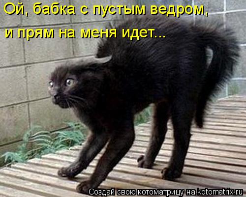 Ой, бабка с пустым ведром, и прям на меня идет...... Котоматрица: Ой, бабка с пустым ведром, и прям на меня идет...