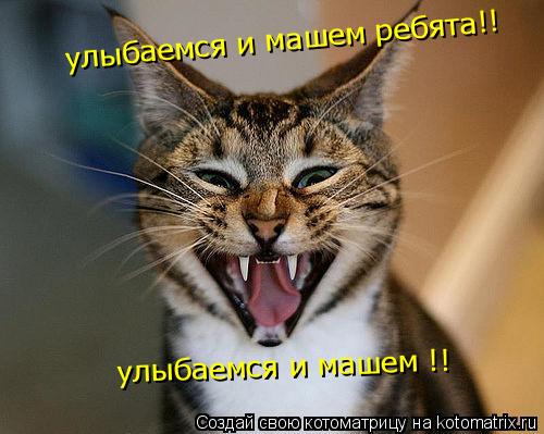 Котоматрица: улыбаемся и машем ребята!! улыбаемся и машем !!