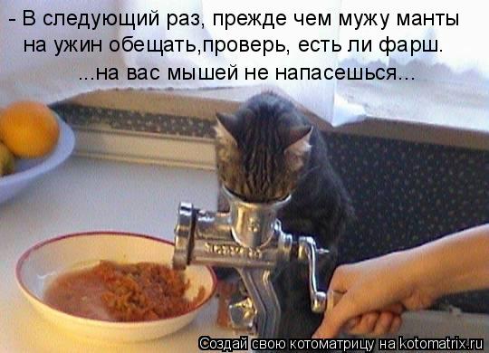 - В следующий раз, прежде чем мужу манты на ужин обещать,проверь, есть ли фарш. ...на вас мышей не н... Котоматрица: - В следующий раз, прежде чем мужу манты на ужин обещать,проверь, есть ли фарш. ...на вас мышей не напасешься...