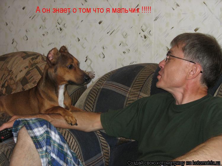 Котоматрица: А он знает о том что я мальчик !!!!!