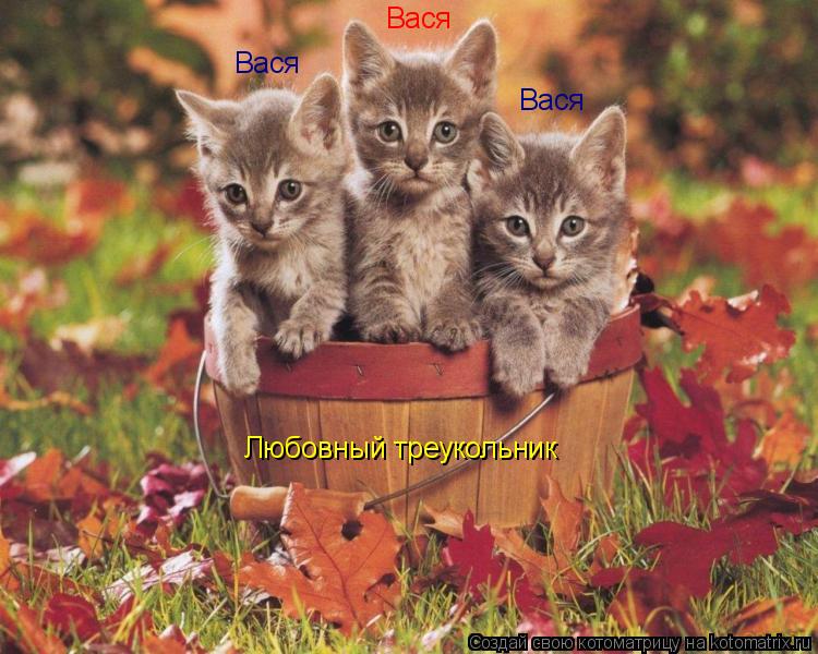 Котоматрица: Любовный треукольник Вася Вася Вася