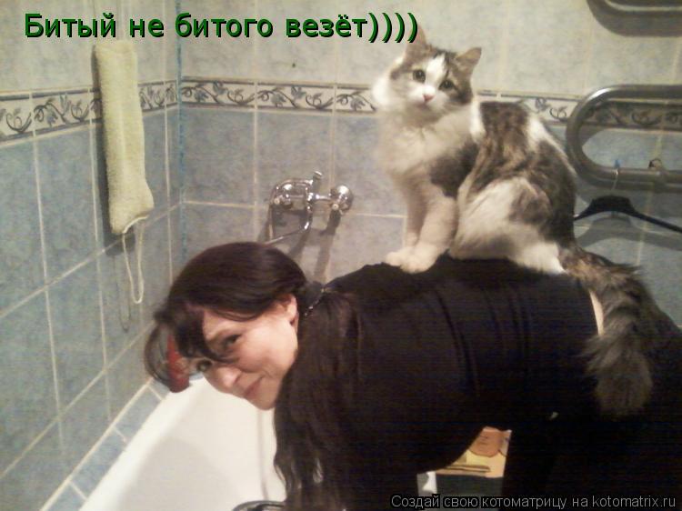Котоматрица: Битый не битого везёт))))