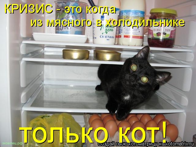Котоматрица: КРИЗИС - это когда из мясного в холодильнике только кот!