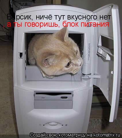 Котоматрица: Барсик, ничё тут вкусного нет , а ты говоришь, блок питания