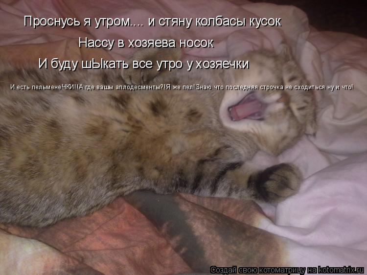 Проснусь я утром.... и стяну колбасы кусок Нассу в хозяева носок И буду шЫкать все утро у хозяечки И ... Котоматрица: Проснусь я утром.... и стяну колбасы кусок Нассу в хозяева носок И буду шЫкать все утро у хозяечки И есть пельменеЧКИ!!А где вашы аплодесменты