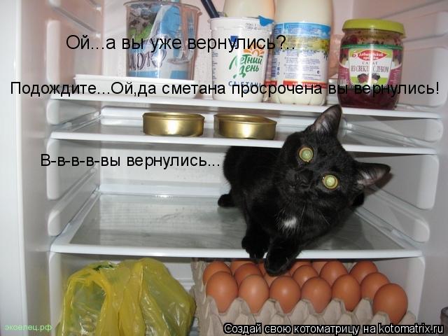 Ой...а вы уже вернулись?.. Подождите...Ой,да сметана просрочена вы вернулись! В-в-в-в-вы вернулись...... Котоматрица: Ой...а вы уже вернулись?.. Подождите...Ой,да сметана просрочена вы вернулись! В-в-в-в-вы вернулись...