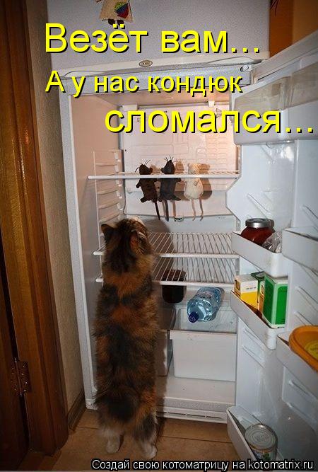 Везёт вам... А у нас кондюк сломался...... Котоматрица: Везёт вам... А у нас кондюк сломался...