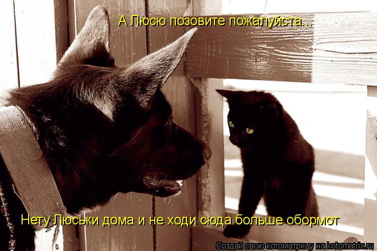 Нету Люськи дома и не ходи сюда больше обормот А Люсю позовите пожалуйста...... Котоматрица: Нету Люськи дома и не ходи сюда больше обормот А Люсю позовите пожалуйста...