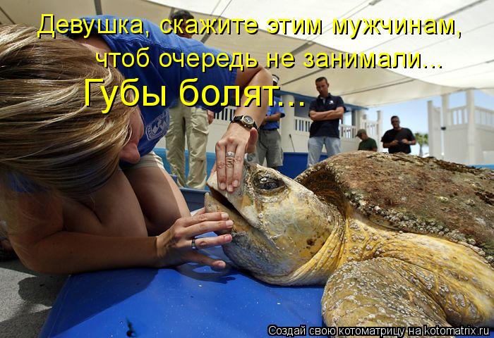 Девушка, скажите этим мужчинам, чтоб очередь не занимали... Губы болят...... Котоматрица: Девушка, скажите этим мужчинам, чтоб очередь не занимали... Губы болят...