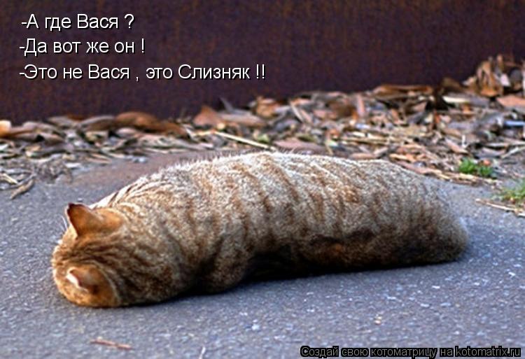 -А где Вася ? -А где Вася ? -Это не Вася , это Слизняк !! -Да вот же он !... Котоматрица: -А где Вася ? -А где Вася ? -Это не Вася , это Слизняк !! -Да вот же он !