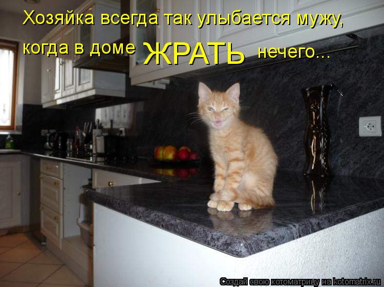 Хозяйка всегда так улыбается мужу, когда в доме ЖРАТЬ нечего...... Котоматрица: Хозяйка всегда так улыбается мужу, когда в доме ЖРАТЬ нечего...