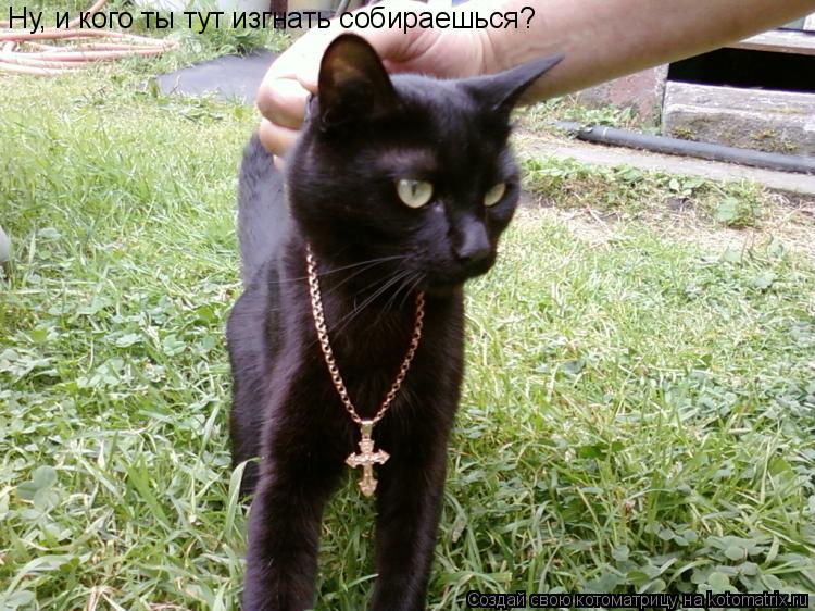 Ну, и кого ты тут изгнать собираешься?... Котоматрица: Ну, и кого ты тут изгнать собираешься?