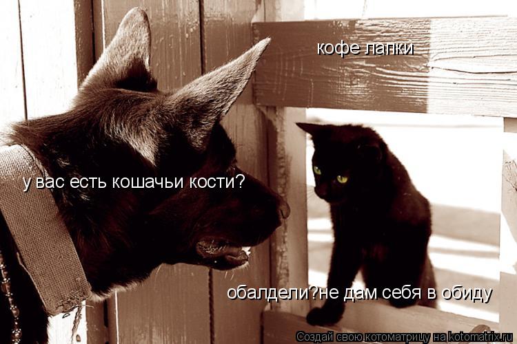 кофе лапки у вас есть кошачьи кости? обалдели?не дам себя в обиду... Котоматрица: кофе лапки у вас есть кошачьи кости? обалдели?не дам себя в обиду