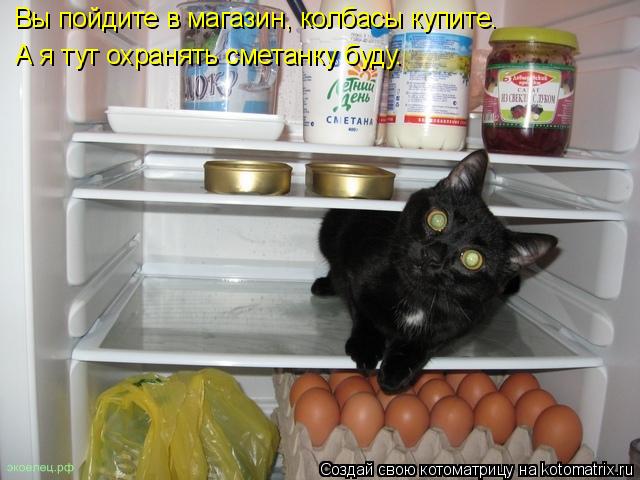 Вы пойдите в магазин, колбасы купите. А я тут охранять сметанку буду.... Котоматрица: Вы пойдите в магазин, колбасы купите. А я тут охранять сметанку буду.