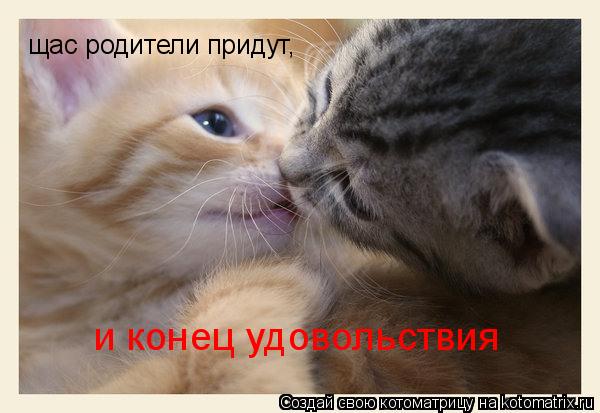щас родители придут, и конец удовольствия... Котоматрица: щас родители придут, и конец удовольствия