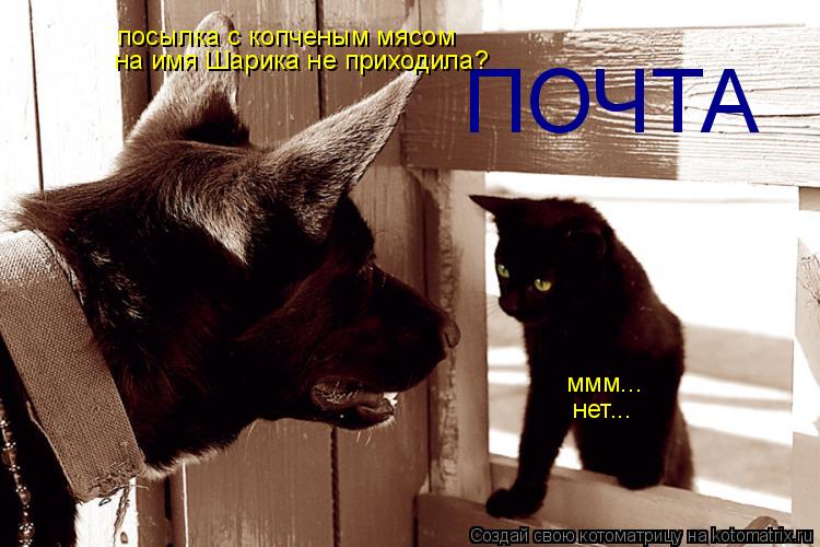 ПОЧТА посылка с копченым мясом на имя Шарика не приходила? ммм... нет...... Котоматрица: ПОЧТА посылка с копченым мясом на имя Шарика не приходила? ммм... нет...