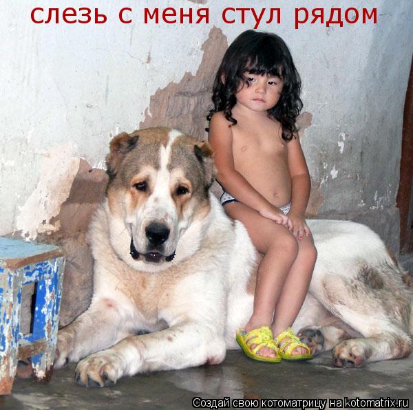 слезь с меня стул рядом... Котоматрица: слезь с меня стул рядом