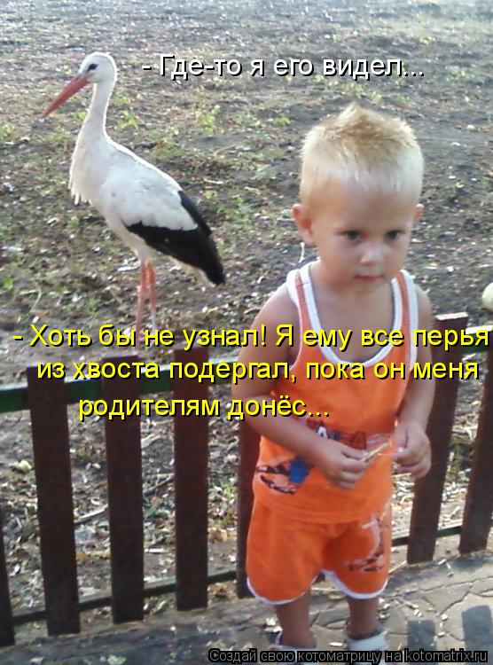 Котоматрица: - Где-то я его видел... - Хоть бы не узнал! Я ему все перья из хвоста подергал, пока он меня родителям донёс...