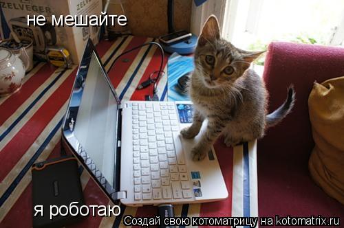 не мешайте я роботаю... Котоматрица: не мешайте я роботаю