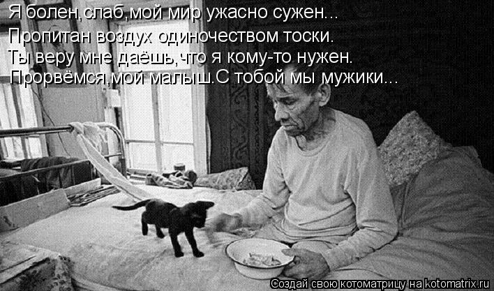 Я болен,слаб,мой мир ужасно сужен... Пропитан воздух одиночеством тоски. Ты веру мне даёшь,что я кому... Котоматрица: Я болен,слаб,мой мир ужасно сужен... Пропитан воздух одиночеством тоски. Ты веру мне даёшь,что я кому-то нужен. Прорвёмся,мой малыш.С тобой мы