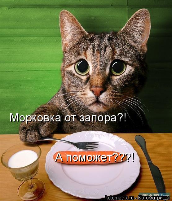 Котоматрица: Морковка от запора?! А поможет???!