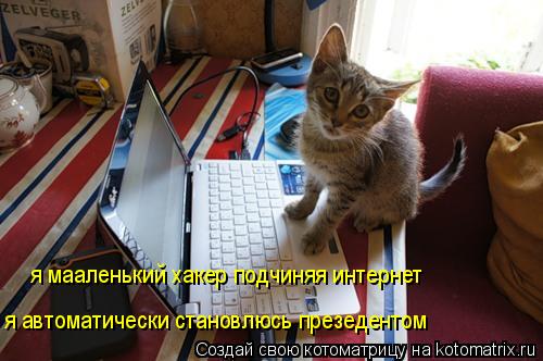 я мааленький хакер подчиняя интернет я автоматически становлюсь презедентом... Котоматрица: я мааленький хакер подчиняя интернет я автоматически становлюсь презедентом