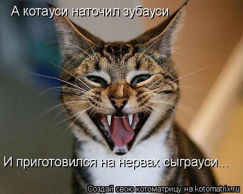 А котауси наточил зубауси И приготовился на нервах сыграуси...... Котоматрица: А котауси наточил зубауси И приготовился на нервах сыграуси...
