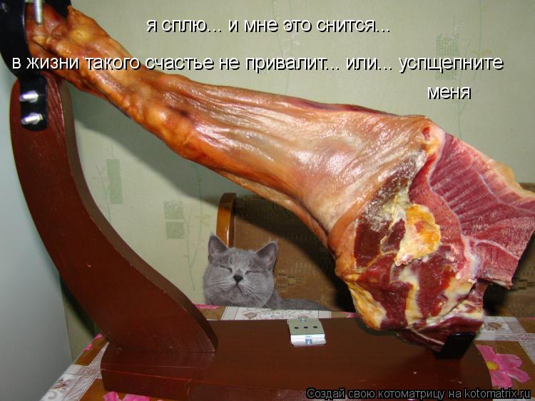 я сплю... и мне это снится... в жизни такого счастье не привалит... или... успщепните меня... Котоматрица: я сплю... и мне это снится... в жизни такого счастье не привалит... или... успщепните меня