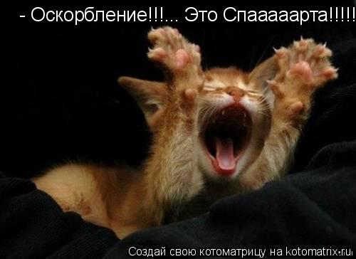 - Оскорбление!!!... Это Спааааарта!!!!!!... Котоматрица: - Оскорбление!!!... Это Спааааарта!!!!!!