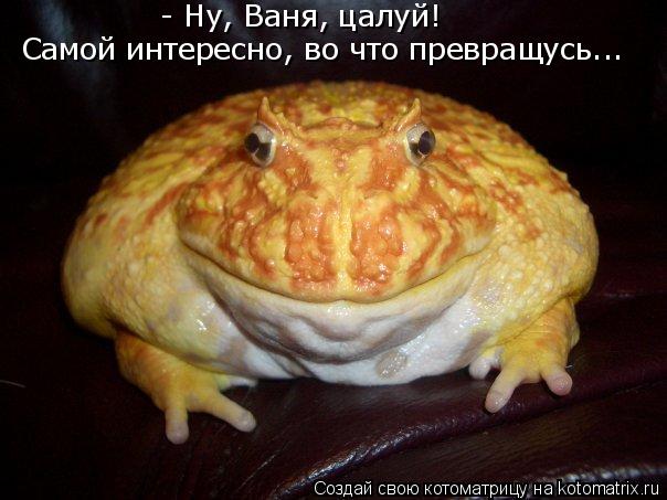 - Ну, Ваня, цалуй! Самой интересно, во что превращусь...... Котоматрица: - Ну, Ваня, цалуй! Самой интересно, во что превращусь...
