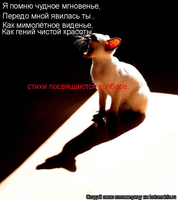 Я помню чудное мгновенье, Передо мной явилась ты.. Как мимолётное виденье, Как гений чистой красоты..... Котоматрица: Я помню чудное мгновенье, Передо мной явилась ты.. Как мимолётное виденье, Как гений чистой красоты.. стихи посвящаются колбасе.