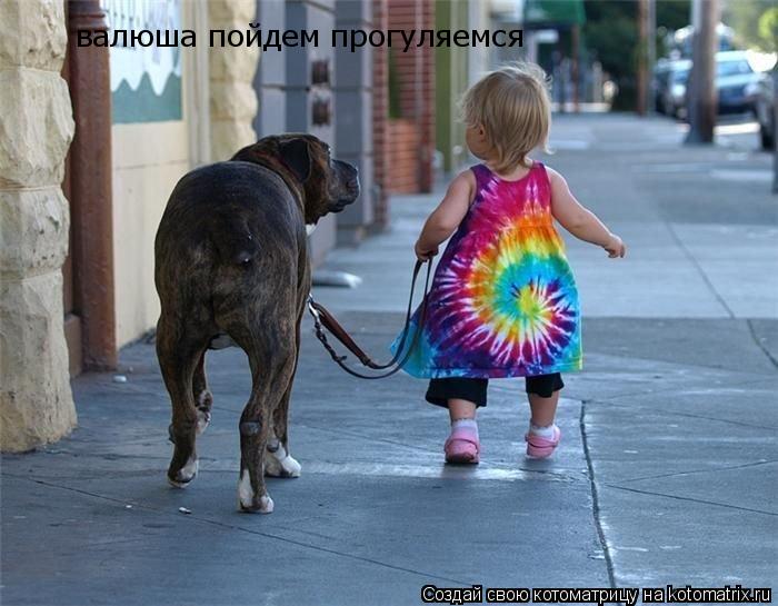 валюша пойдем прогуляемся... Котоматрица: валюша пойдем прогуляемся