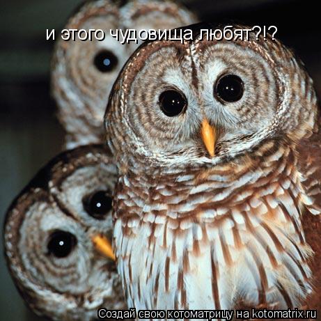и этого чудовища любят?!?... Котоматрица: и этого чудовища любят?!?